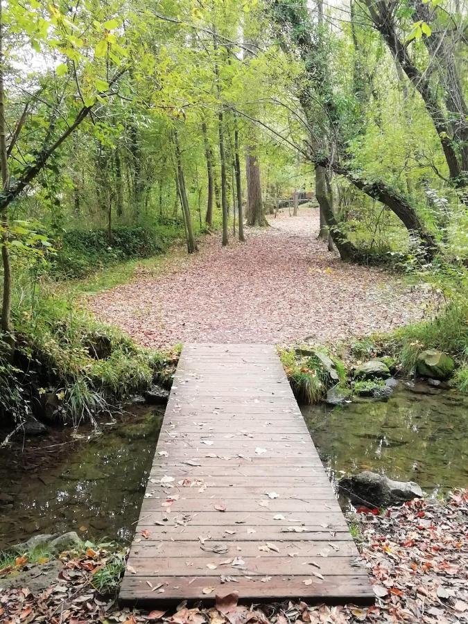 Apartament Natura Amb Calma Olot Eksteriør bilde